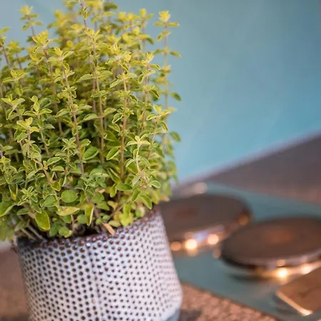 Apart-hotel Wunder S Ferienpension 4*