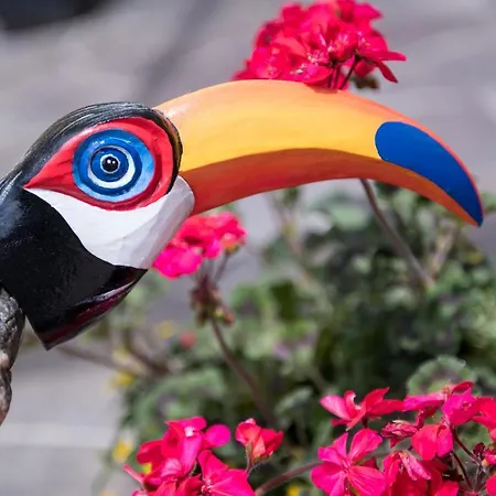 Wunder S Ferienpension Apart-hotel Pörtschach am Wörthersee