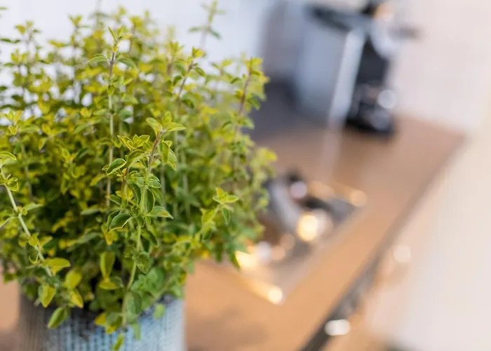 Wunder S Ferienpension Hotel apartamentowy Pörtschach am Wörthersee