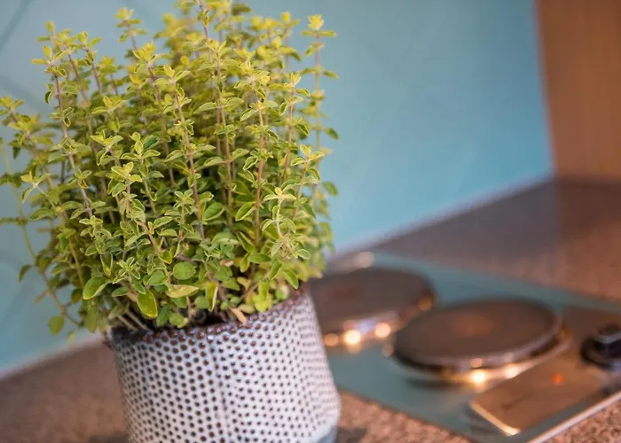 Hotel apartamentowy Wunder S Ferienpension 4*