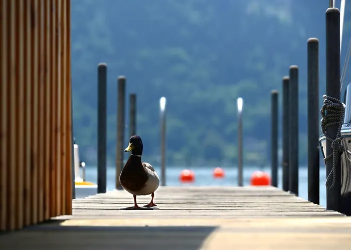 Hotel apartamentowy Wunder S Ferienpension